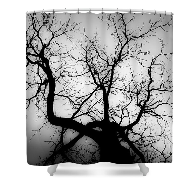 Delta Shower Curtain featuring the photograph Luminosity by Michael Arend