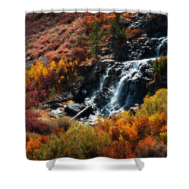 Sierra Nevada Shower Curtain featuring the photograph Lundy Canyon Falls by Lynn Bauer