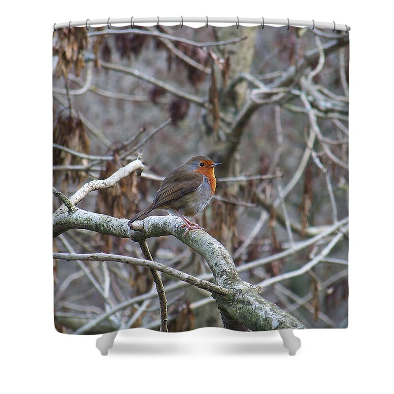 Animal Shower Curtain featuring the photograph Lwv10001 by Lee Winter