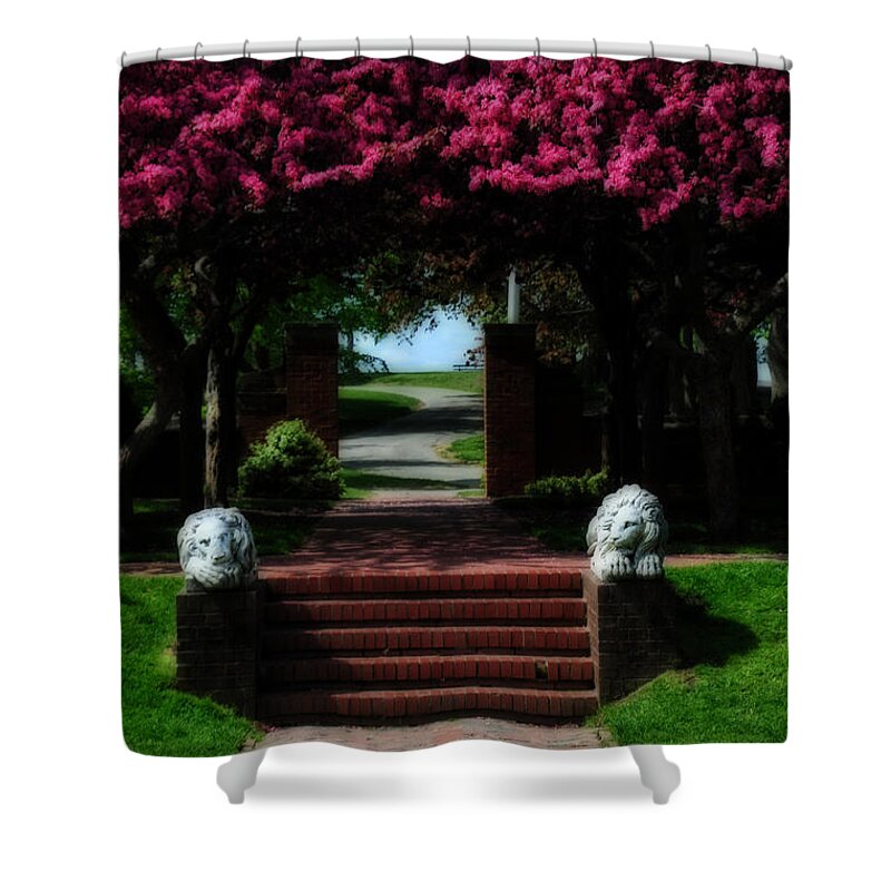 Park Shower Curtain featuring the photograph Lynch Park by Mike Martin