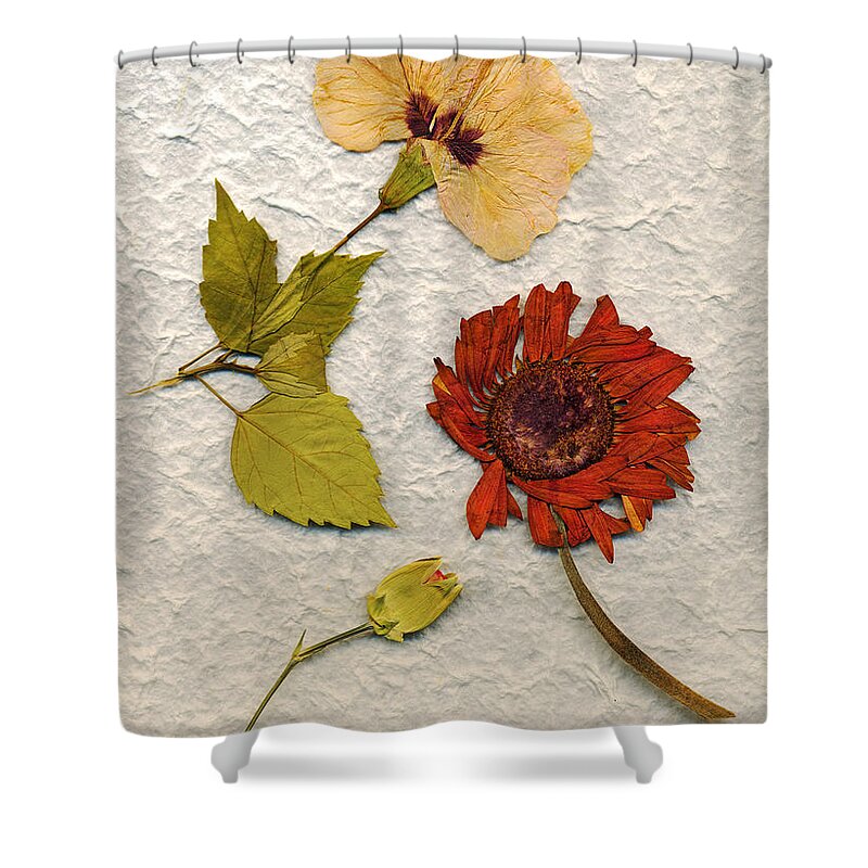  Shower Curtain featuring the photograph Mache6 by Matthew Pace
