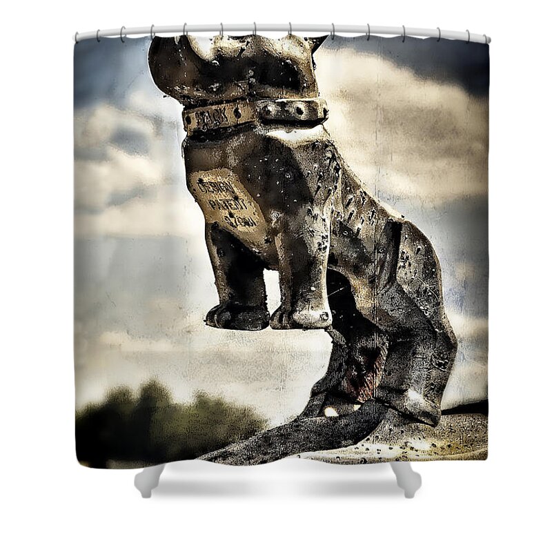 1958 Shower Curtain featuring the photograph Mack Truck Hood Ornament by Ken Smith