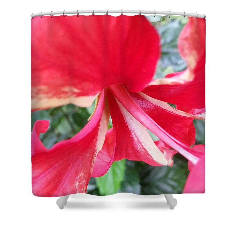 Macro Shower Curtain featuring the photograph Macro Beauty by Fortunate Findings Shirley Dickerson