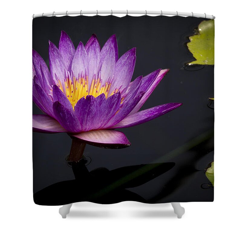 Water Shower Curtain featuring the photograph Magenta WaterLily by Jean Noren