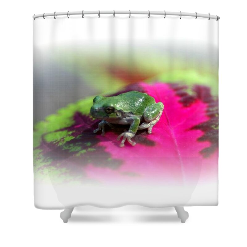 Macro Shower Curtain featuring the photograph Magic Carpet Coleus Leaf by Barbara S Nickerson