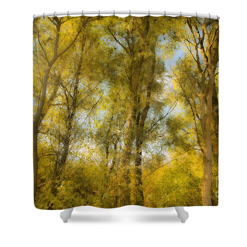 Trees Shower Curtain featuring the photograph Magic Forest-4 by Casper Cammeraat