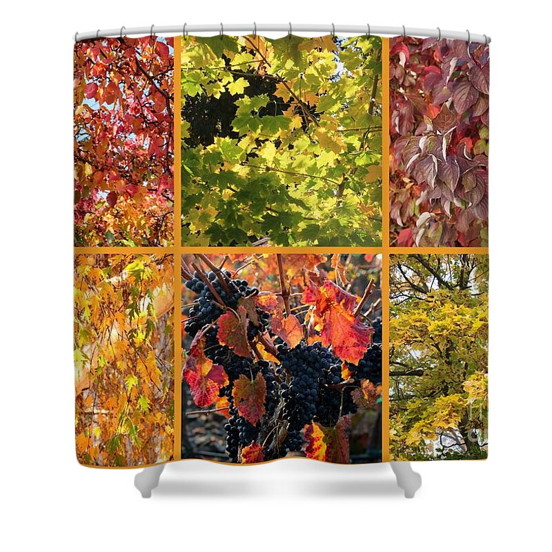 Colors Of Autumn Collage Shower Curtain featuring the photograph Magical Autumn Colors Collage by Carol Groenen