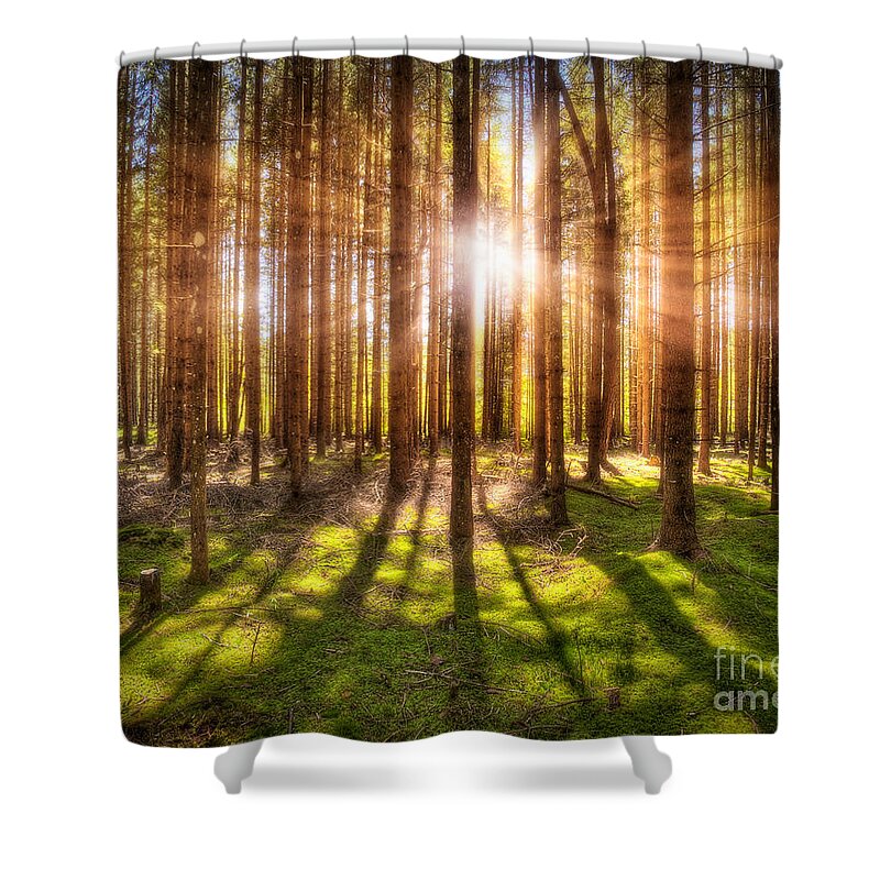 Magical Shower Curtain featuring the photograph Magic Light by Edmund Nagele FRPS