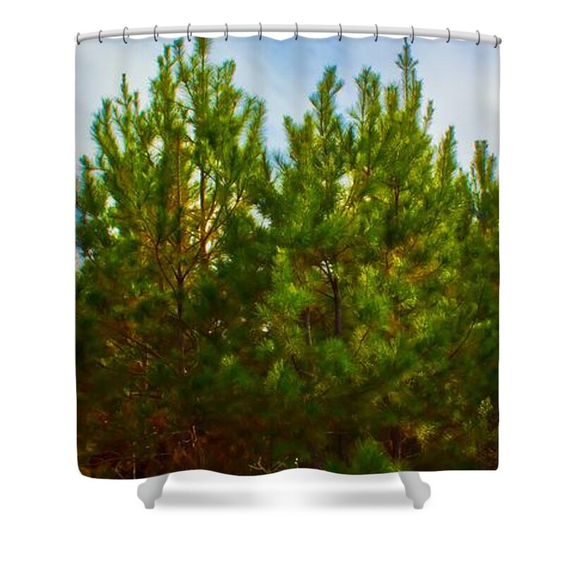 Michael Tidwell Photography Shower Curtain featuring the photograph Magical Pines by Michael Tidwell