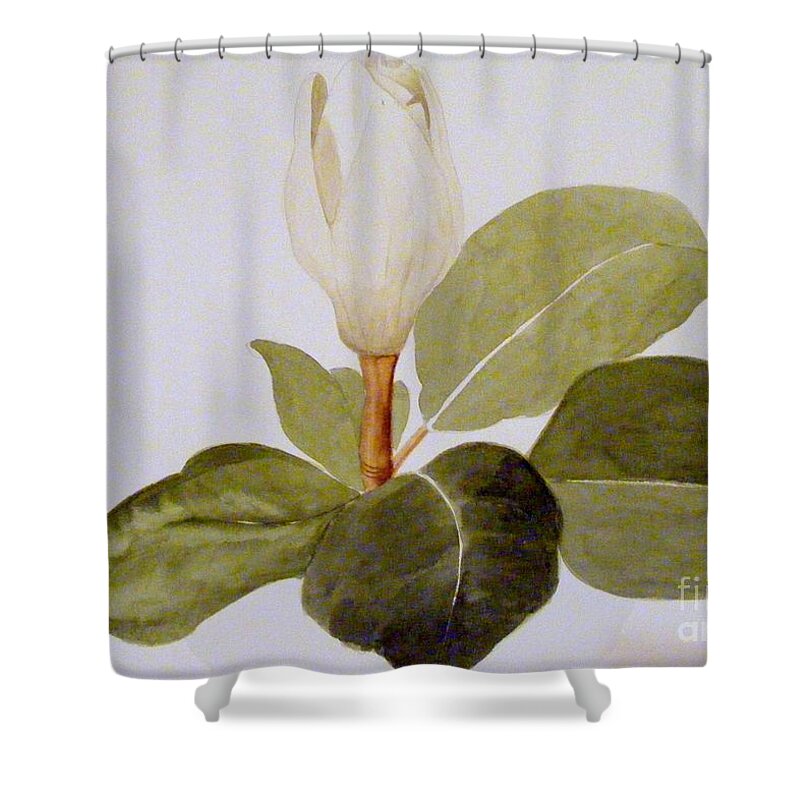 Watercolor Botanical Shower Curtain featuring the painting Magnolia Bud II by Nancy Kane Chapman