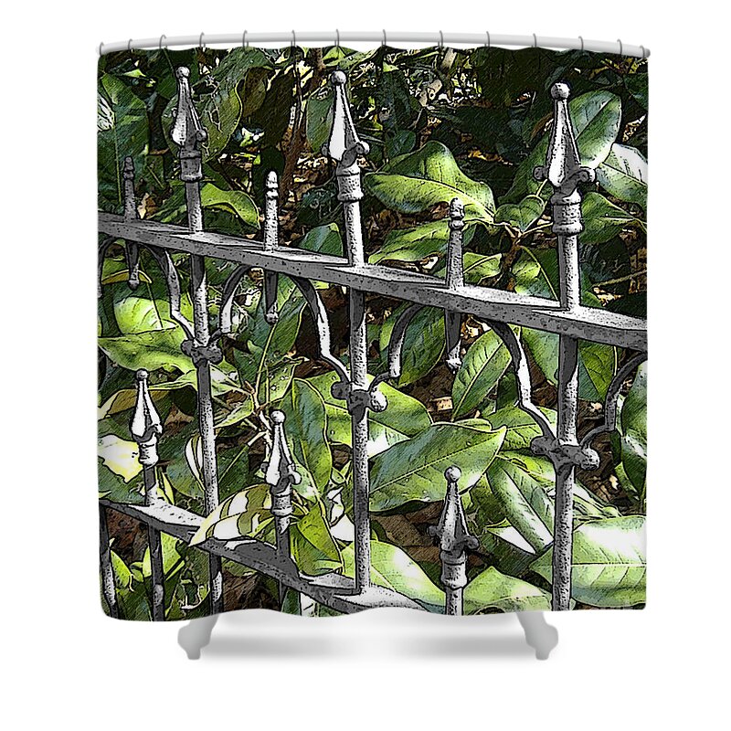 Magnolia Shower Curtain featuring the photograph Magnolia Leaves by Lee Owenby