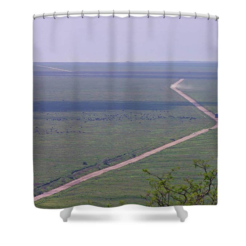 Main Branch Shower Curtains