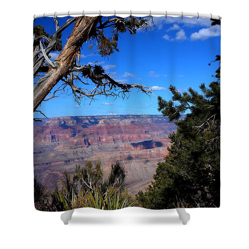 Grandeur Shower Curtain featuring the photograph Majestic Grandeur by Patrick Witz
