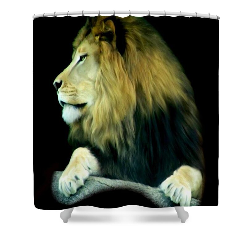 Majestic King Shower Curtain featuring the photograph Majestic King by Maria Urso