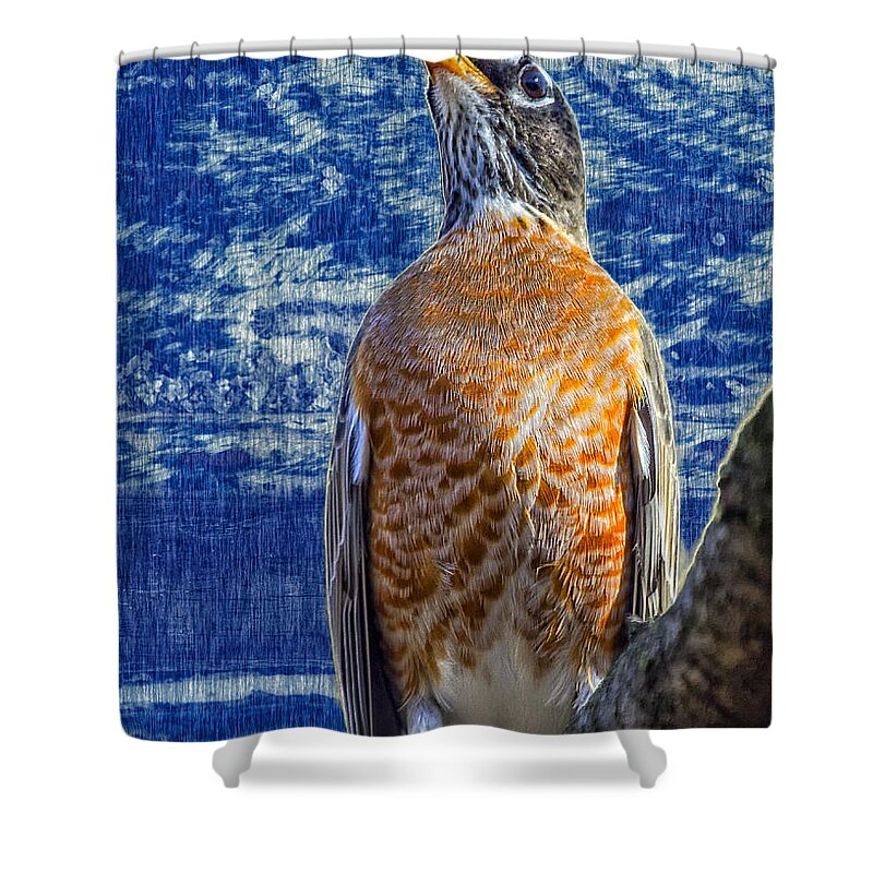 Robin Shower Curtain featuring the photograph Majestic Robin Blues by Bill and Linda Tiepelman