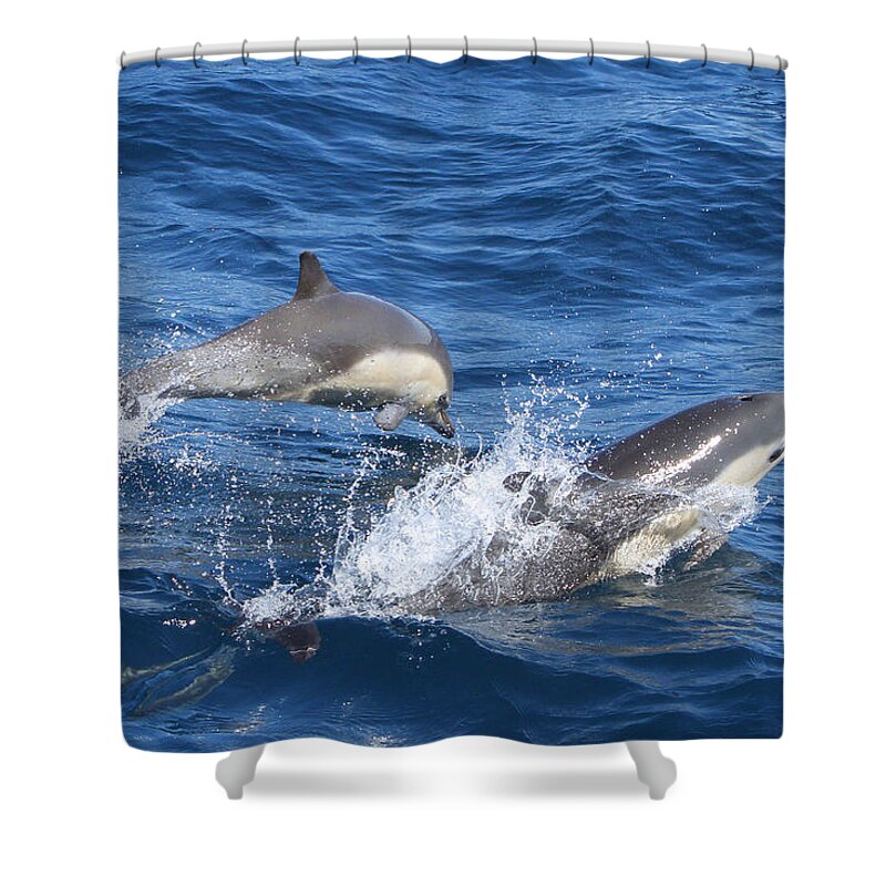 Dolphins Shower Curtain featuring the photograph Make a Splash by Shoal Hollingsworth