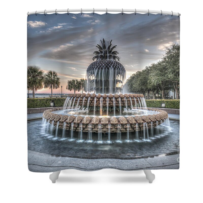 Pineapple Fountain Shower Curtain featuring the photograph Make A Wish by Dale Powell