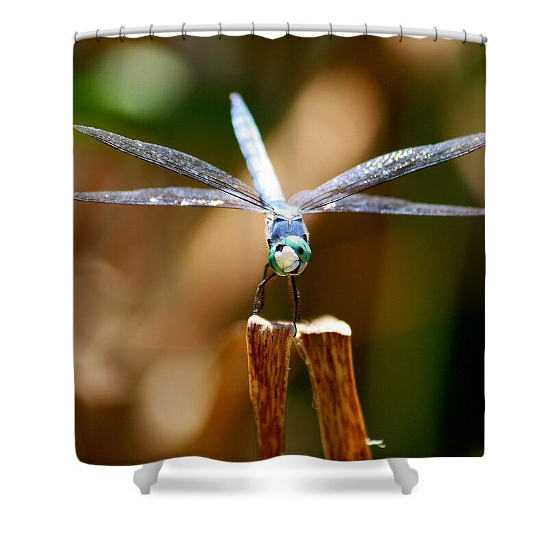 Dragonfly Shower Curtain featuring the photograph Made Ya Smile by Patrick Witz