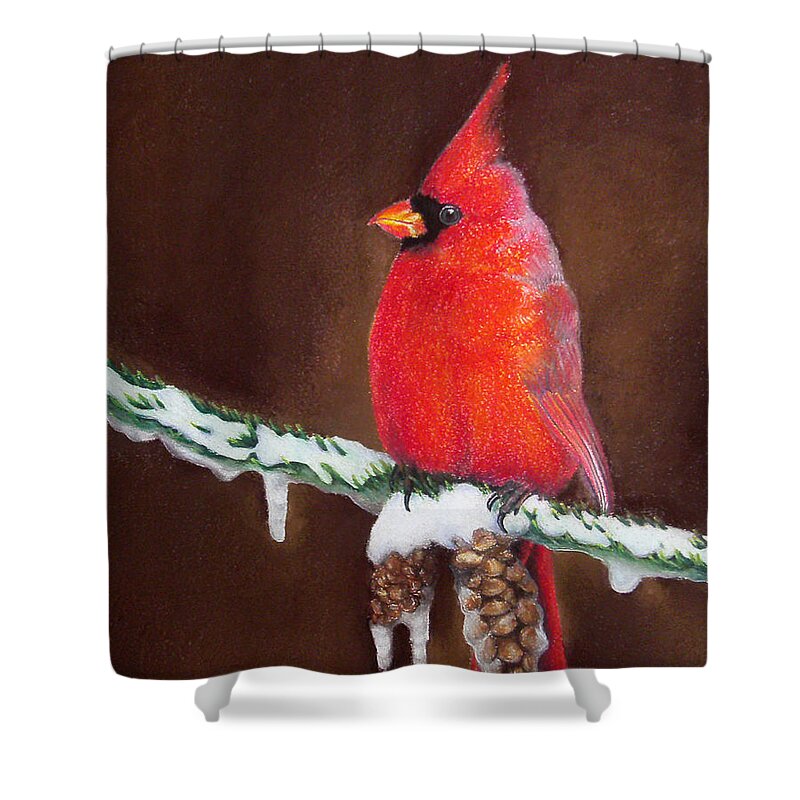 Cardinal Shower Curtain featuring the painting Male Cardinal by Adam Johnson