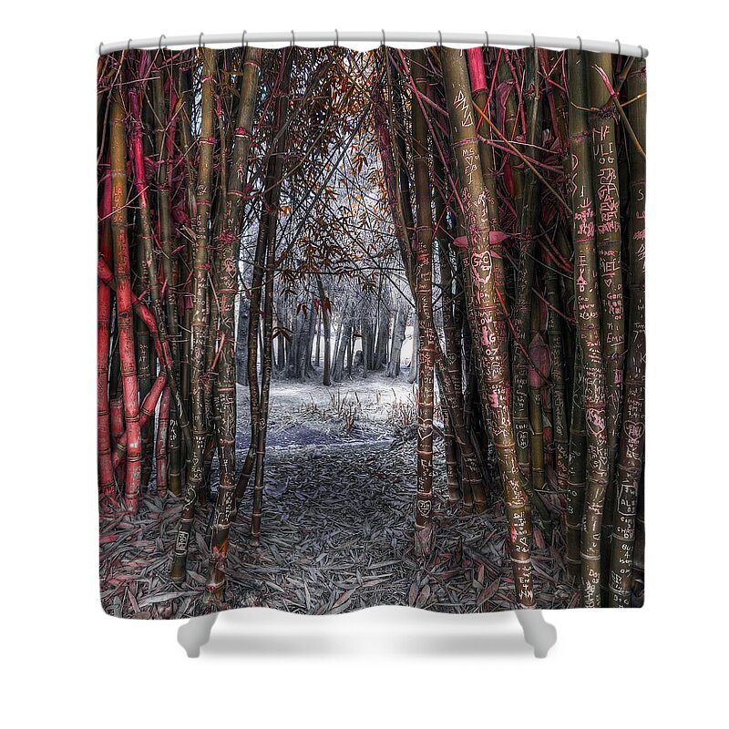 Leaves Shower Curtain featuring the photograph Malice In Wonderland by Wayne Sherriff