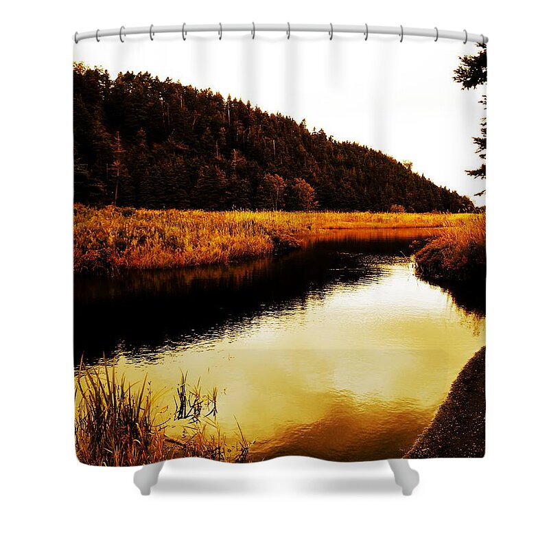 Manuels River Shower Curtain featuring the photograph Manuels River by Zinvolle Art