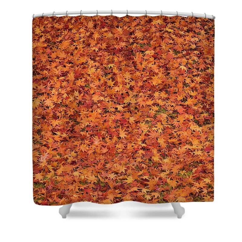 Tranquility Shower Curtain featuring the photograph Maple Leaves Carpet by Ma Photo