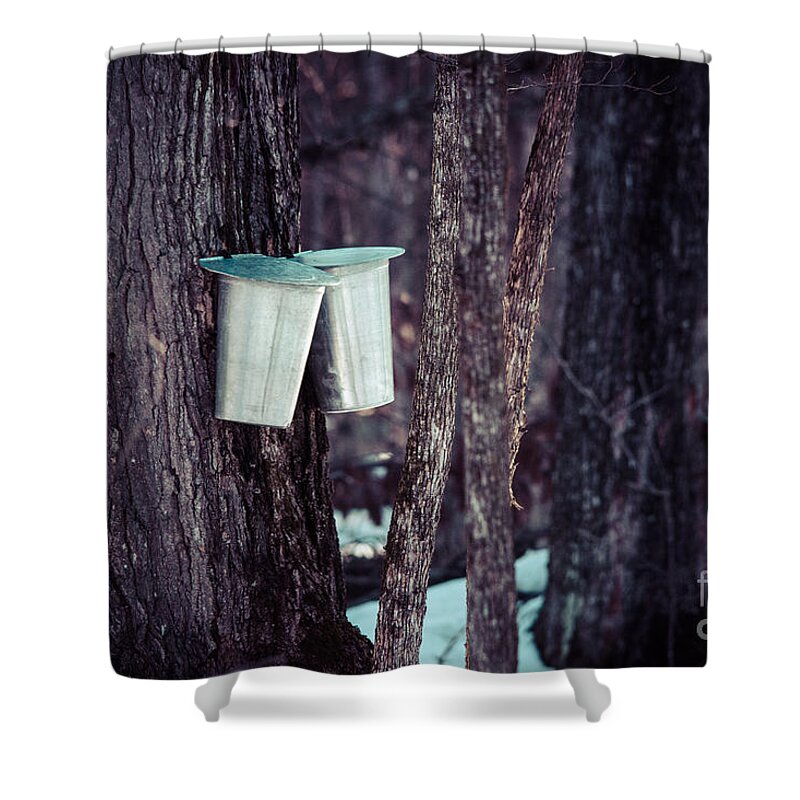 Landscape Shower Curtain featuring the photograph Maple Sap by Cheryl Baxter