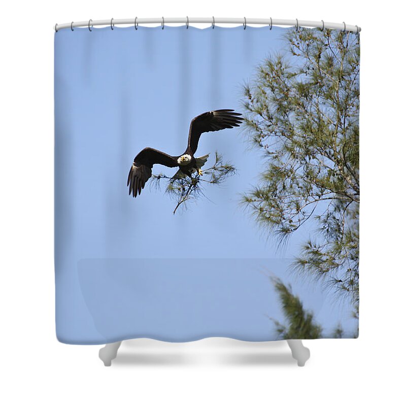 Florida Shower Curtain featuring the photograph Marco Island Eagles Nest - Building Nest for Paleo and Calusa 2 by Ronald Reid