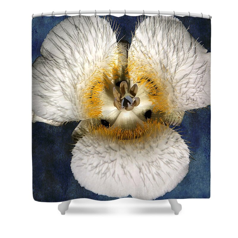 Mariposa Lily Shower Curtain featuring the photograph Mariposa Lily Two by Belinda Greb