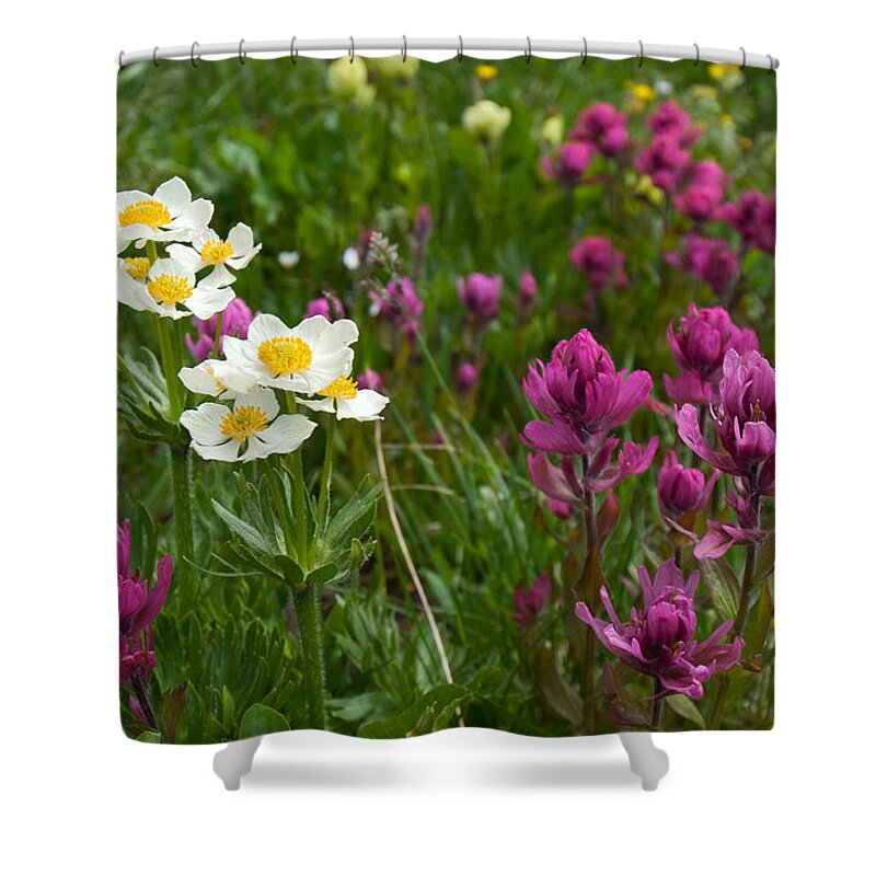 Narcissus Anemone Shower Curtain featuring the photograph Narcissus Anemone and Rosy Paintbrush by Cascade Colors