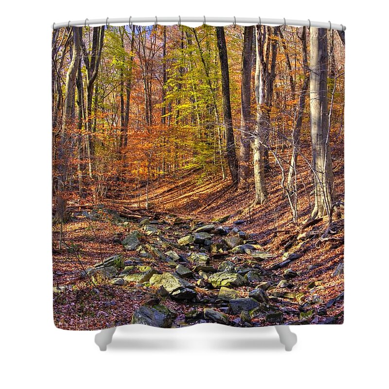 Maryland Shower Curtain featuring the photograph Maryland Country Roads - Autumn Colorfest No. 6 - Catoctin Mountains Frederick County MD by Michael Mazaika