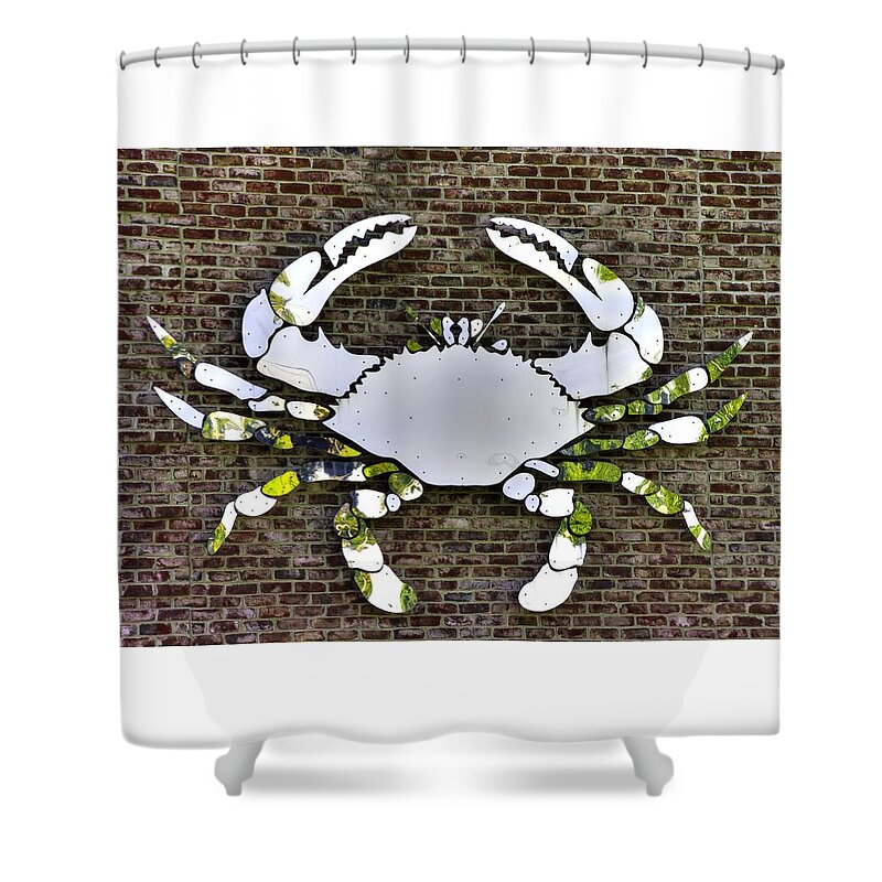Maryland Shower Curtain featuring the photograph Maryland Country Roads - Camo Crabby 1A by Michael Mazaika