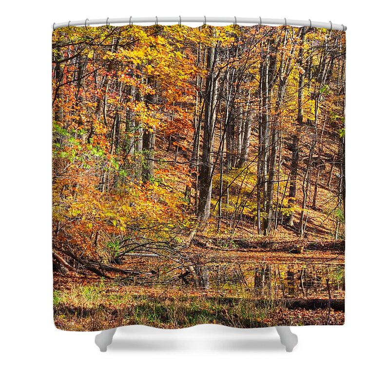 Maryland Shower Curtain featuring the photograph Maryland Country Roads - Reflection Amidst the Colorful Noise No. 1 - Catoctin Mountains by Michael Mazaika