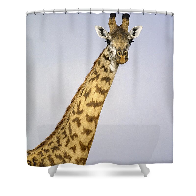 Feb0514 Shower Curtain featuring the photograph Masai Giraffe Portrait Masai Mara Kenya by Gerry Ellis