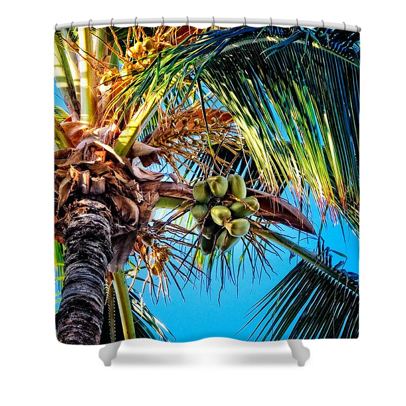 Hawaii Shower Curtain featuring the photograph Maui Palm by Lars Lentz