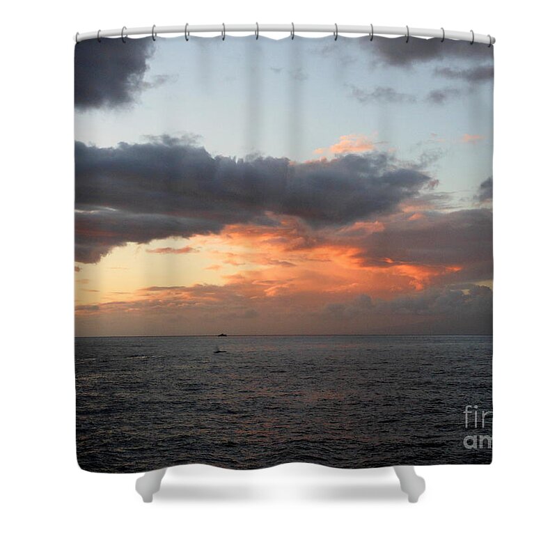 Sunset Shower Curtain featuring the photograph Maui Sunset by Fred Wilson