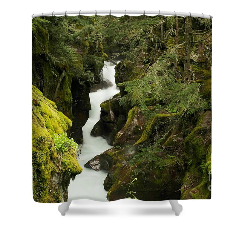 Cateract Shower Curtains