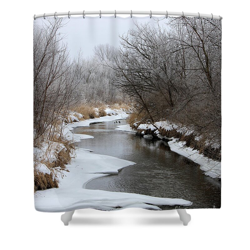 Winter Shower Curtain featuring the photograph Meandering Geese by Debbie Hart