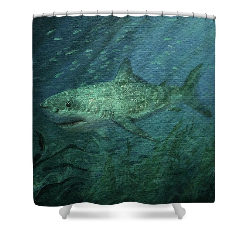 Shark Shower Curtain featuring the painting Megadolon Shark by Tom Shropshire