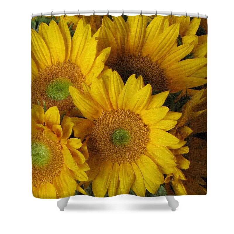 Sunflowers Shower Curtain featuring the photograph Mellow Yellow by John Glass