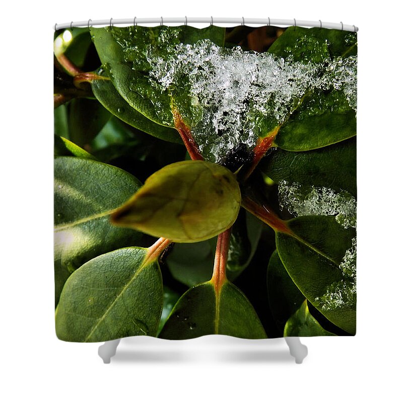 Flower Shower Curtain featuring the photograph Melting Crystals by Robyn King