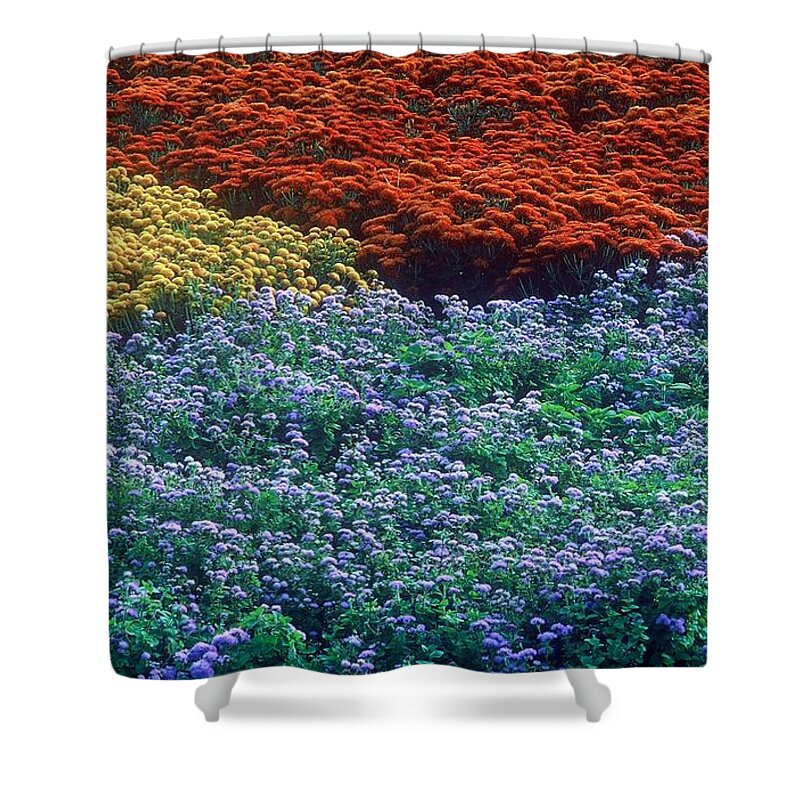 Flowers Shower Curtain featuring the photograph Merging Colors by Rodney Lee Williams