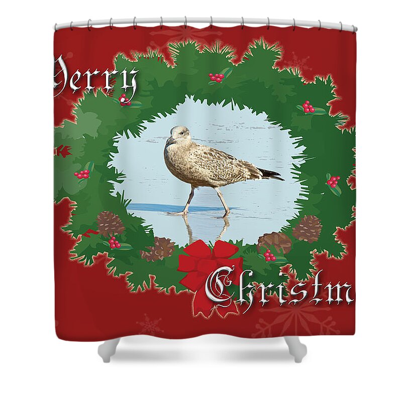 Christmas Shower Curtain featuring the photograph Merry Christmas Greeting Card - Young Seagull by Carol Senske