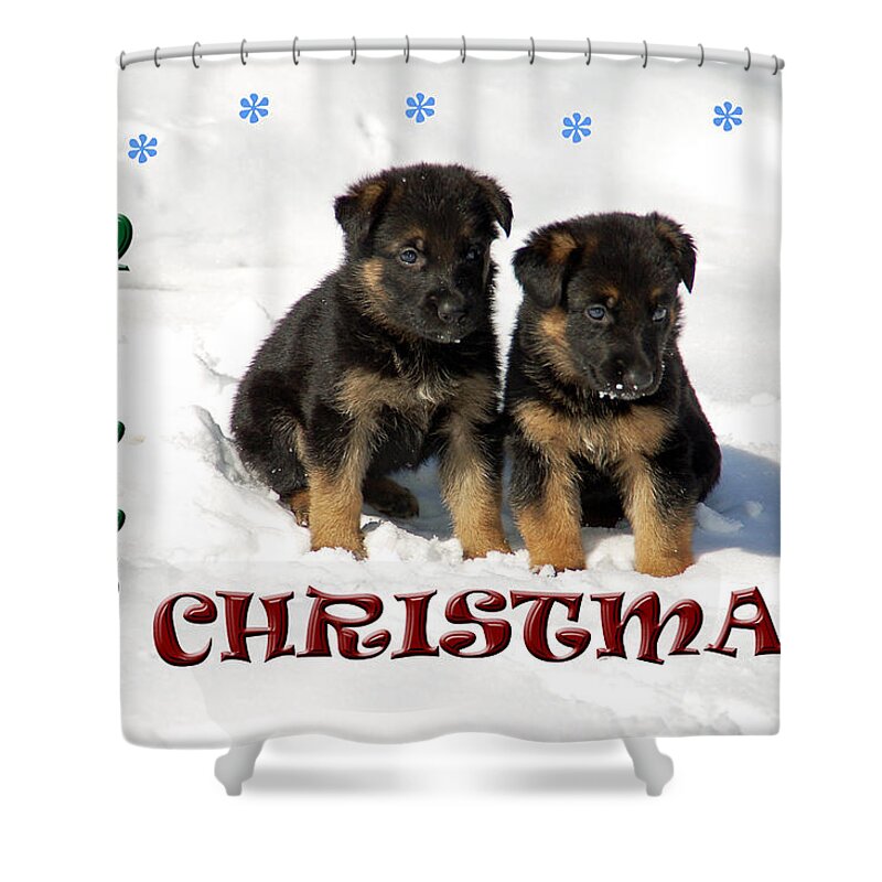 Christmas Card Shower Curtain featuring the photograph Merry Christmas Puppies by Aimee L Maher ALM GALLERY