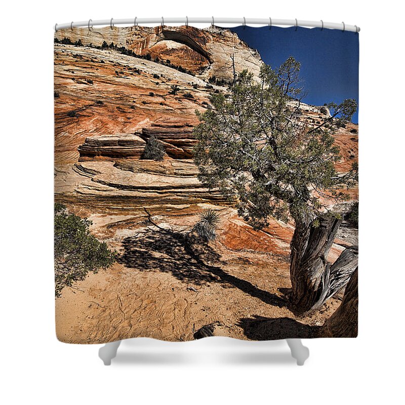 Mesquite Shower Curtain featuring the photograph Mesquite Zion National Park by Hugh Smith