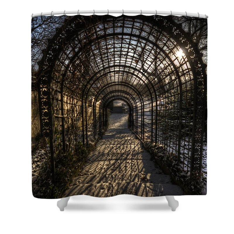 Background Shower Curtain featuring the digital art Metal garden by Nathan Wright