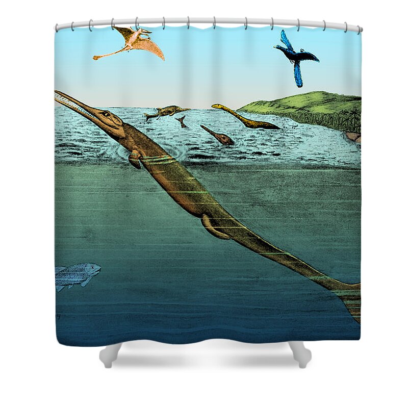 Dinosaur Shower Curtain featuring the photograph Metriorhynchus, Jurassic Marine Reptile by Science Source