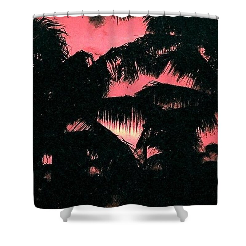 Sunset Shower Curtain featuring the photograph Miami Beach Sunset by Suzanne Berthier