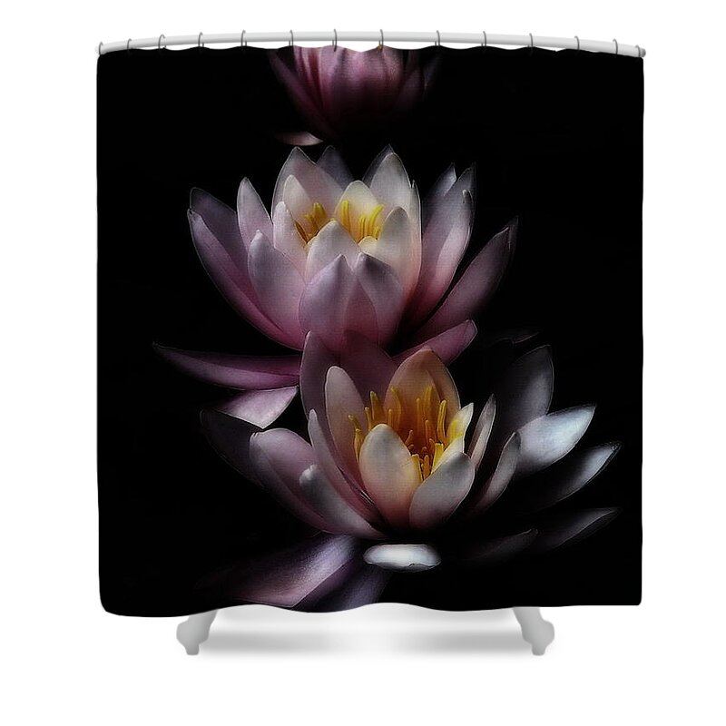 Flower Shower Curtain featuring the photograph Midnight at the Oasis by Andrea Kollo
