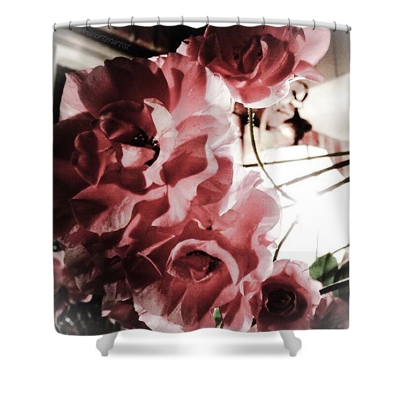 Midnight Climbing Roses In My Garden Shower Curtain featuring the photograph Midnight Climbing Roses In My Garden by Anna Porter